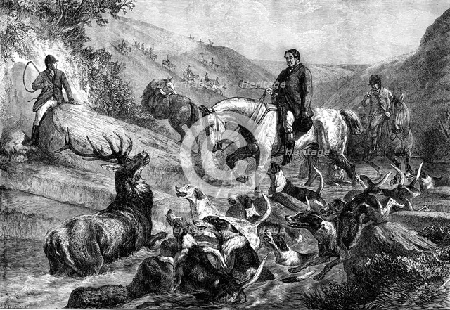 "A Stag at Bay on Exmoor Forest", by S. Carter, 1871. Creator: J Greenaway.