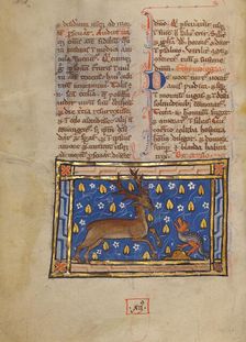 A Stag before a Dragon-like Snake; Bestiary, about 1270. Creator: Unknown