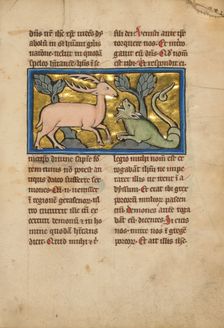 A Stag before a Dragon-like Snake; De Natura Avium; De Pastoribus et Ovibus, 1277 or after. Creator: Unknown