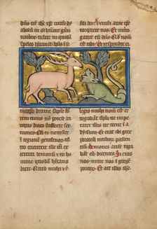 A Stag before a Dragon-like Snake; De Natura Avium; De Pastoribus et Ovibus, 1277 or after. Creator: Unknown