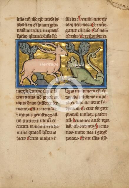 A Stag before a Dragon-like Snake; De Natura Avium; De Pastoribus et Ovibus, 1277 or after. Creator: Unknown.