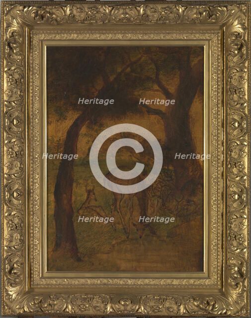 A Stag Drinking, ca. 1870s. Creator: Albert Pinkham Ryder.