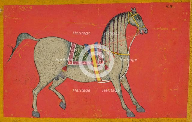A stallion, Second Half of the 17th cen. Creator: Anon.