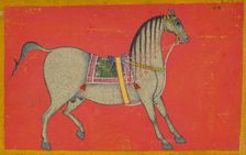 A stallion, Second Half of the 17th cen. Creator: Anon