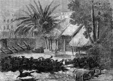 A stampede of jackals through the environs of Calcutta, 1864. Creator: Mason Jackson