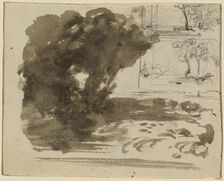 A Stand of Trees [recto]. Creator: John Varley I