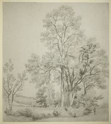A Stand of Elm Trees (recto); A Study of East Bergholt with the Church (verso), c. 1802. Creator: John Constable
