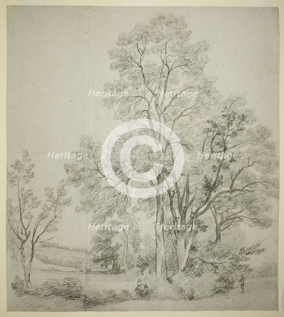 A Stand of Elm Trees (recto); A Study of East Bergholt with the Church (verso), c. 1802. Creator: John Constable.