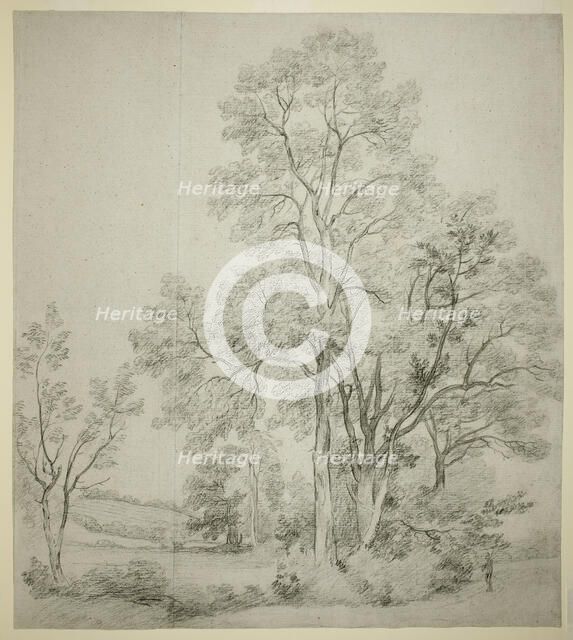 A Stand of Elm Trees (recto); A Study of East Bergholt with the Church (verso), c. 1802. Creator: John Constable.