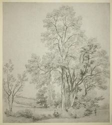 A Stand of Elm Trees (recto); A Study of East Bergholt with the Church (verso), c. 1802. Creator: John Constable