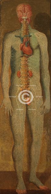 A standing dissected man showing the viscera and blood vessels, with a separate figure of the... Creator: Jacques Fabian Gautier Dagoty.