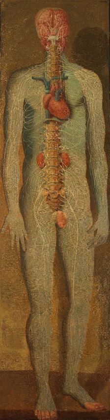 A standing dissected man showing the viscera and blood vessels, with a separate figure of the... Creator: Jacques Fabian Gautier Dagoty