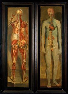A standing dissected man showing the viscera and blood vessels, with a separate figure of the... Creator: Jacques Fabian Gautier Dagoty