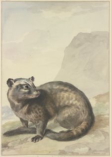 A strange Levet-Kat, 1776. Creator: Aert Schouman