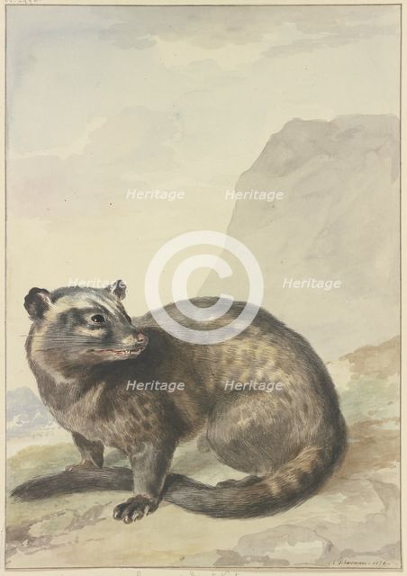 A strange Levet-Kat, 1776. Creator: Aert Schouman.