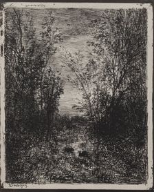 A Stream in a Glade, original impression 1862, printed in 1921. Creator: Charles François Daubigny (French, 1817-1878)