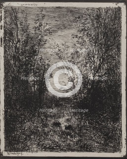 A Stream in a Glade, original impression 1862, printed in 1921. Creator: Charles François Daubigny (French, 1817-1878).
