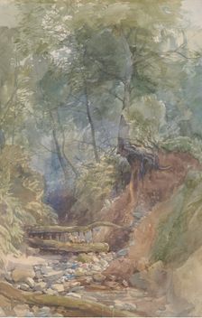 A Stream Near Clovelly, North Devon, 1850. Creator: John Middleton