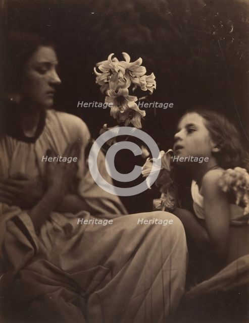 A Study, 1865-66. Creator: Julia Margaret Cameron.