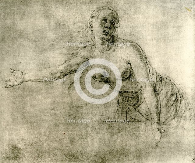 A study, 1913. Artist: Albrecht Dürer