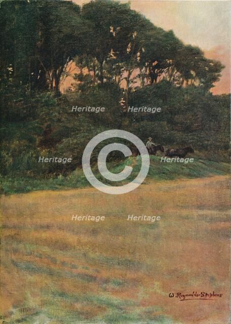 'A Study', c1900 (1903-1904). Artist: Sir William Reynolds-Stephens.