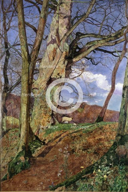 A Study, in March, exhibited 1855. Artist: John William Inchbold.
