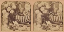 A Study in Still Life., 1902. Creator: RY Young