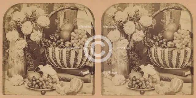 A Study in Still Life., 1902. Creator: RY Young.