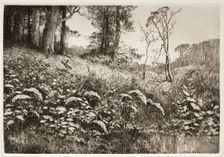 A Summer Afternoon, 1882. Creator: Elis F. Miller (American)