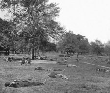 A summer afternoon scene in St James's Park, London, c1900 (1901)