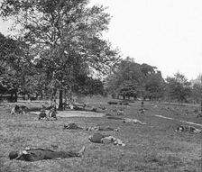 A summer afternoon scene in St James's Park, London, c1900 (1901)