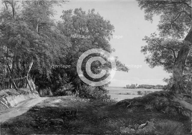 A Summer Morning beside the Deer Park Fence in Ordrup Spinney, North of Copenhagen, 1855. Creator: Thorald Brendstrup.
