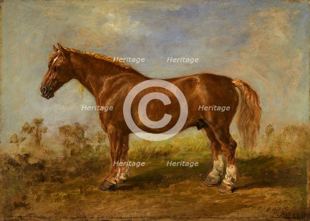 A Suffolk Carthorse, early 19th century?. Creator: James Ward.