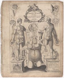 A Survey of the Microcosme or the Anatomie of the Bodies of Man and Woman wherein the Skin..., 1675. Creator: Johann Remmelin