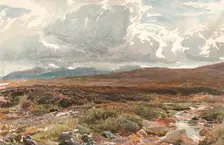 A Sussex Common c1889. Artist: Thomas Collier
