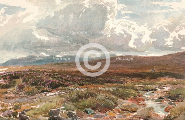 'A Sussex Common', c1889. Artist: Thomas Collier.