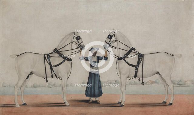 A Syce (Groom) Holding Two Carriage Horses, ca. 1845. Creator: attributed to Shaikh Muhammad Amir of Karraya.