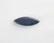 Amulet for inlay in the form of a fish, New Kingdom, 1550 - 1196 BCE. Creator: Unknown
