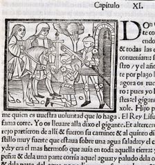 Amadis de Gaula, a masterpiece of medieval literature of 16th century, page of an edition of 1533