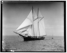 Ambassadress, between 1880 and 1899. Creator: Unknown