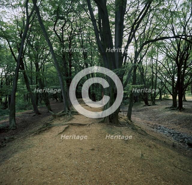 Ambersbury Banks Iron Age fort, 8th century BC. Artist: Unknown