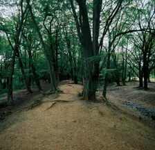 Ambersbury Banks Iron Age fort, 8th century BC