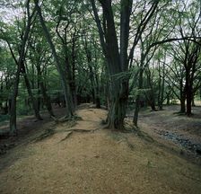 Ambersbury Banks Iron Age fort, 8th century BC