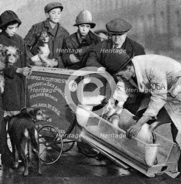 Ambulance of the Dispensary for Sick Animals of the Poor, London, 1926-1927. Artist: Unknown
