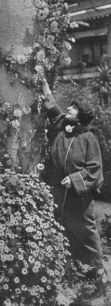 Amelita Galli-Curci - The great diva gathering roses, her favourite flowers c1925