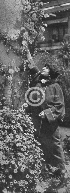 'Amelita Galli-Curci - The great diva gathering roses, her favourite flowers', c1925. Artist: Unknown.