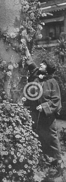 'Amelita Galli-Curci - The great diva gathering roses, her favourite flowers', c1925. Artist: Unknown.