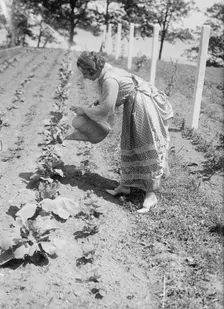Amelita Galli-Curci, between c1915 and c1920. Creator: Bain News Service