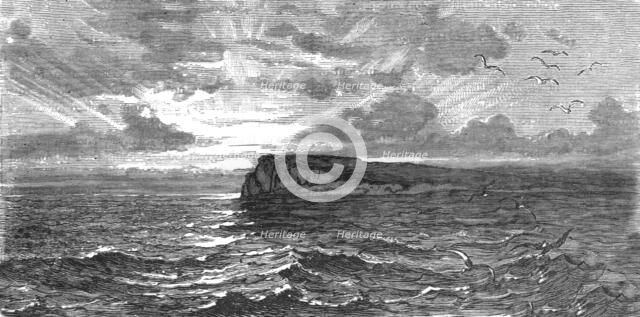 'Amelia Island, Florida; A Flying Visit to Florida', 1875. Creator: Thomas Mayne Reid.