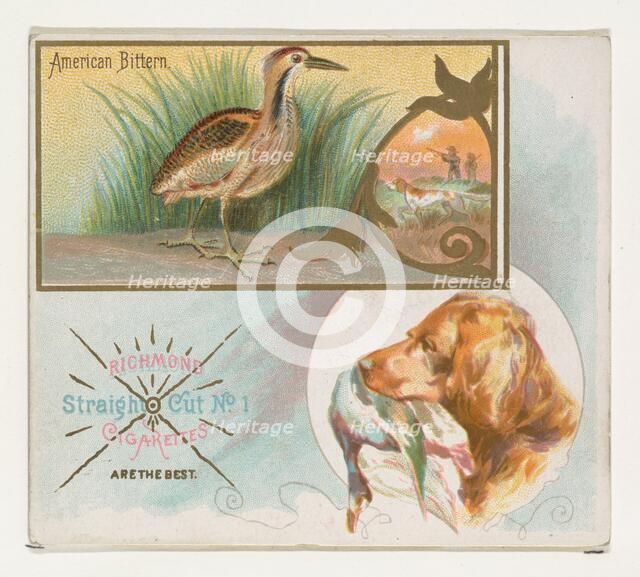 American Bittern, from the Game Birds series (N40) for Allen & Ginter Cigarettes, 1888-90. Creator: Allen & Ginter.